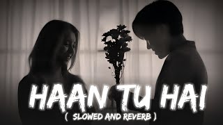 Haan Tu Hain SlowedReverb KK Pritam  Jannat  Lofi song [upl. by Kalin]