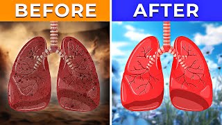 10 BEST Herbs For Lung Health Clearing Mucus Viruses and COPD [upl. by Mundy]