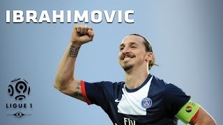 Zlatan Ibrahimovic  All 26 Goals  20132014 [upl. by Lanctot]