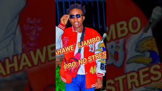 Dorcas amp Vestine NAHAWE IJAMBO 🎶Covered by No Stressofficial audio 🎶 [upl. by Netsyrc]