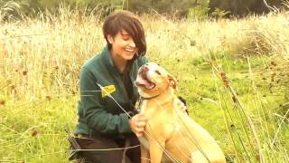 The Ladies of Dogs Trust West Calder [upl. by Santini]