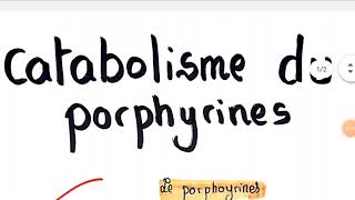 💣Catabolisme des porphyrines [upl. by Bud]