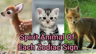 Zodiac Signs As Animals Your Spirit Animal Which Animal Are You Based On Your Zodiac Sign zodiac [upl. by Yevad]