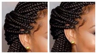 Tips and Tricks Box Braid like a Professional Protective Styles [upl. by Atikcir]