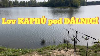 Lov KAPRŮ pod DÁLNICÍBoilies vs Halibut [upl. by Ahsinal]