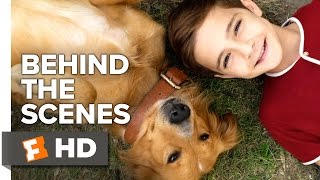 A Dogs Purpose  Official Movie Review [upl. by Ahseek129]