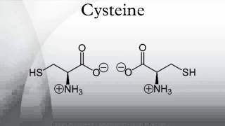 Cysteine [upl. by Siladnerb797]