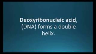 How to pronounce deoxyribonucleic acid DNA Pharmcabulary for Memorizing Pharmacology Flashcard [upl. by Marris94]