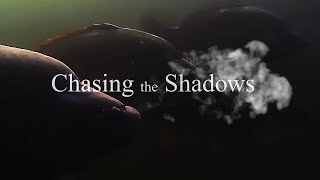 Chasing the Shadows [upl. by Nur838]