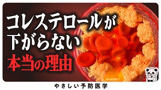 【医師解説】今すぐコレステロールを下げたいならコレやってください [upl. by Enomas]