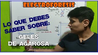 ELECTROFORESIS EN GEL DE AGAROSA  EXPLICADO RÁPIDO Y SENCILLO [upl. by Iznil]