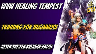 GW2 Healing Tempest WvW Training For Beginners  After the Feb 14th Balance Patch [upl. by Atalya931]