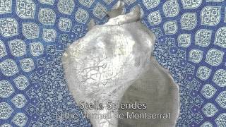 Llibre Vermell Spain 14 th c Stella splendens [upl. by Sillek]