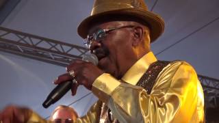 Bluesfest Gaildorf Wee Willie Walkers All Star Soul Revue USA 08072017 [upl. by Eirolam]