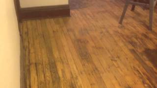 Refinishing 100 year old floors without sanding [upl. by Adnilram]