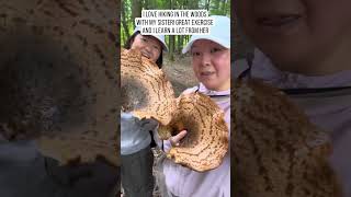 Massive edible mushrooms [upl. by Mathews]