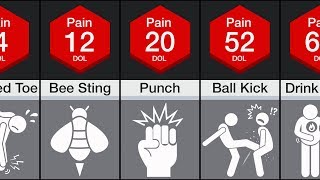 Comparison Human Pain [upl. by Winou]