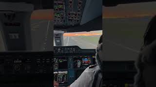 Rate this Pilot Landing A350  Cockpit View [upl. by Rozele]