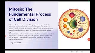 Mitosis  An Equational Division class 10 11 icse cbse bseb neet [upl. by Irtak]