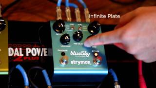 Strymon blueSky Reverb  Infinite Plate [upl. by Emarej]