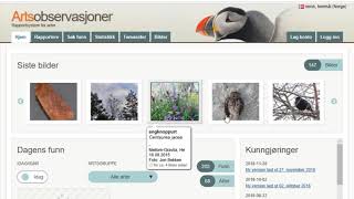 Registrering i Artsobservasjoner Info og oppstart [upl. by Herold]