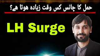 LH Surge  LH Surge when to Conceive  MLT Hub with kamran [upl. by Arleta290]