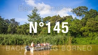 Die wilden Orangutans Borneos  Weltreise Vlog  Backpacking 145 [upl. by Enelehs]