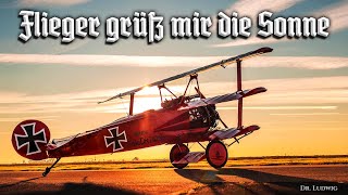 Flieger grüß mir die Sonne German SchlagerEnglish translation [upl. by Dowlen237]