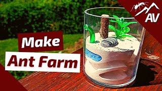 How to Build an Ant Farm  Compact Plaster Formicarium [upl. by Annaor]