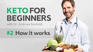 A keto diet for beginners part 2 how it works [upl. by Ahcsim]