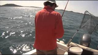 Panula brancina laganim priboromSeabass trolling with light tackle SD [upl. by Lachlan307]