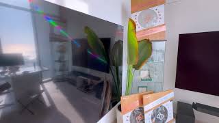 Glossy vs matte coating on a TV The Difference is insane Samsung S95D [upl. by Lenoil]