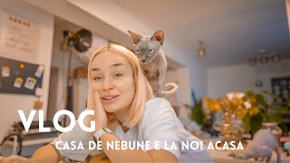 VLOG  Casa de nebunici e la noi acasa [upl. by Ait173]