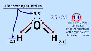 Polar Molecules Tutorial How to determine polarity in a molecule [upl. by Modestine]