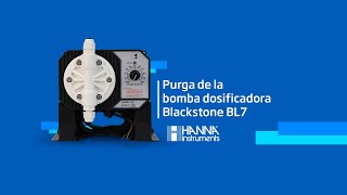 Purga de la bomba dosificadora Blackstone BL7 [upl. by Bruner406]