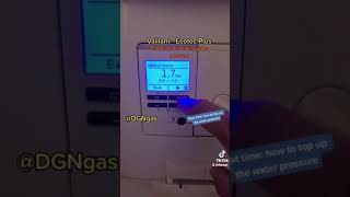 How to check the water pressure on a Vaillant Ecotec Plus [upl. by Jenks545]