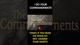 I DO YOUR COMMANDMENTS SHORTS 186  TRUTH [upl. by Emmi]