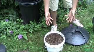 How To Make Easy Hassle Free Compost Tea [upl. by Mozart708]