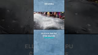 UNE BALEINE DE 1622 M ÉCHOUE SUR UNE ÎLE EN GUINÉE [upl. by Nabi]