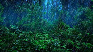 Rainforest Thunderstorm Sounds for Sleep  10Hour Rain and Thunder Ambience [upl. by Adlaremse]