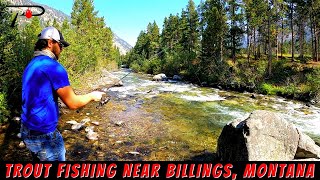 Trout Fishing Near Billings [upl. by Ardekahs]