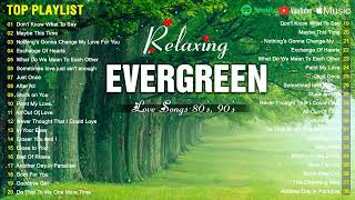 Timeless Evergreen Relaxing Beautiful Love Songs 70s 80s 90s 💖💕 Best Love Songs of Cruisin Lyrics [upl. by Eberto]