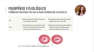 Aula 18  PUERPÉRIO PATOLÓGICO E FISIOLÓGICO [upl. by Neeroc]