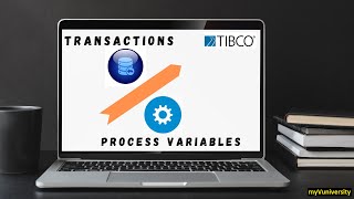 Transaction Group and Process Variables in TIBCO BusinessWorks 6 By Box3 Learning Solutions [upl. by Nicholas16]