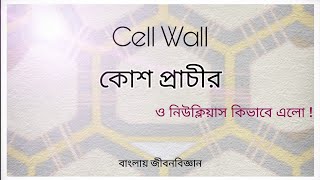 Cell Wall and origin of Nucleus  কোশ প্রাচীর ও নিউক্লিয়াসের উৎপত্তি [upl. by Yemiaj]