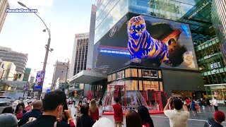 Pavilion KL Year of Tiger 3D  Chinese New Year 2022 [upl. by Elsilrac353]