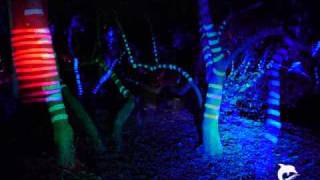 Parkleuchten  Illuminationen im Grugapark Essen [upl. by Melville]