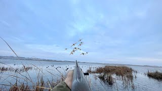 DUCK HUNTING a HIDDEN LAKE Loaded with MALLARDS DRAKE LIMIT [upl. by Keslie]