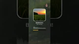 Musik jawa ringtone  Bebingah  Ringtone 4 [upl. by Nnanaej856]