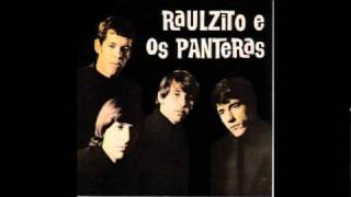 Porque Pra Que  Raulzito e os panteras [upl. by Haidebej]